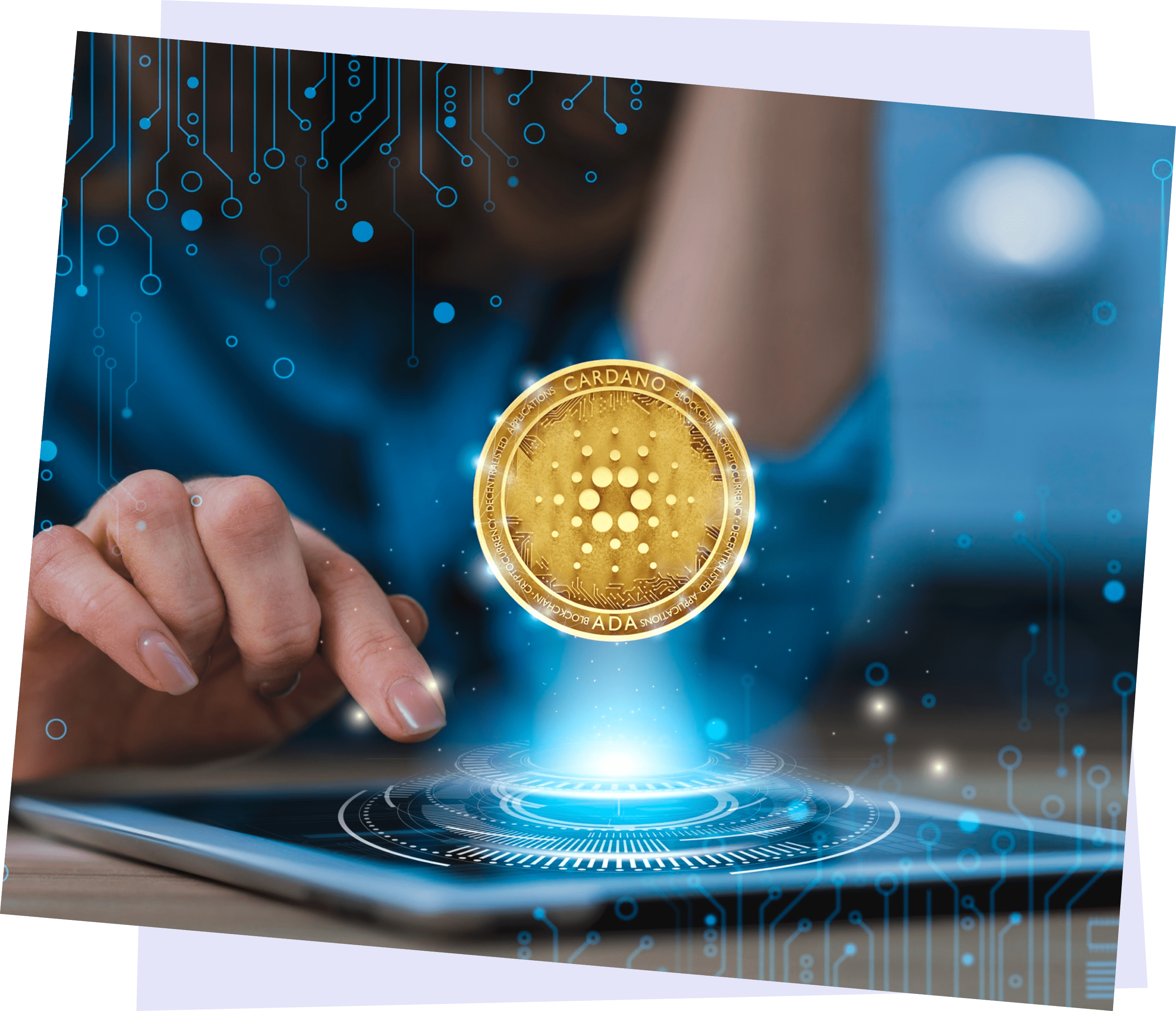 Professional Team & Technical Support